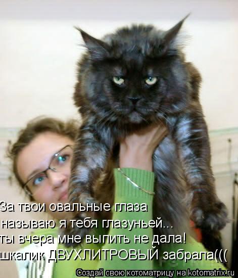 шкалик ДВУХЛИТРОВЫЙ забрала((( ты вчера мне выпить не дала! называю я тебя глазуньей... За твои оваль... Котоматрица: шкалик ДВУХЛИТРОВЫЙ забрала((( ты вчера мне выпить не дала! называю я тебя глазуньей... За твои овальные глаза