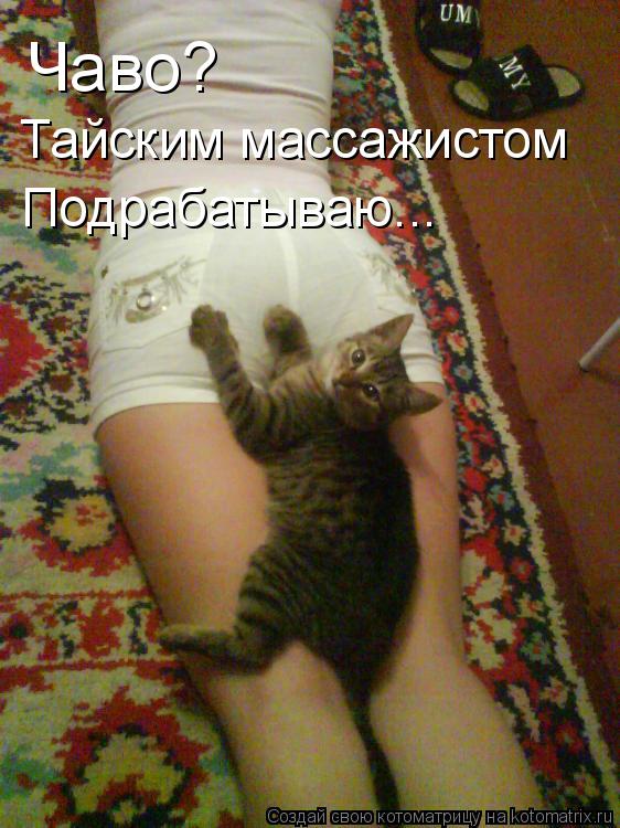 Чаво? Тайским массажистом Подрабатываю...... Котоматрица: Чаво? Тайским массажистом Подрабатываю...