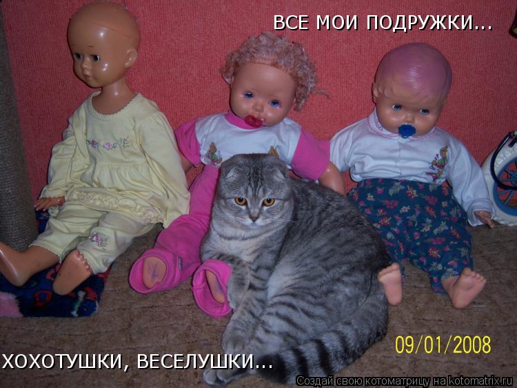 ВСЕ МОИ ПОДРУЖКИ... ХОХОТУШКИ, ВЕСЕЛУШКИ...... Котоматрица: ВСЕ МОИ ПОДРУЖКИ... ХОХОТУШКИ, ВЕСЕЛУШКИ...