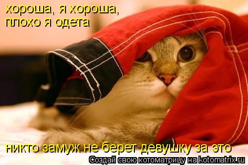 хороша, я хороша, плохо я одета никто замуж не берет девушку за это... Котоматрица: хороша, я хороша, плохо я одета никто замуж не берет девушку за это