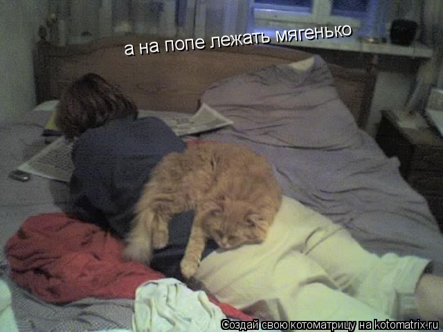 а на попе лежать мягенько... Котоматрица: а на попе лежать мягенько