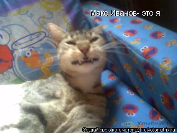 Макс Иванов- это я!... Котоматрица: Макс Иванов- это я!
