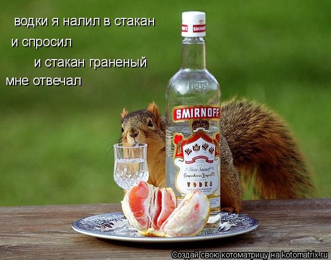 водки я налил в стакан и спросил и стакан граненый мне отвечал... Котоматрица: водки я налил в стакан и спросил и стакан граненый мне отвечал