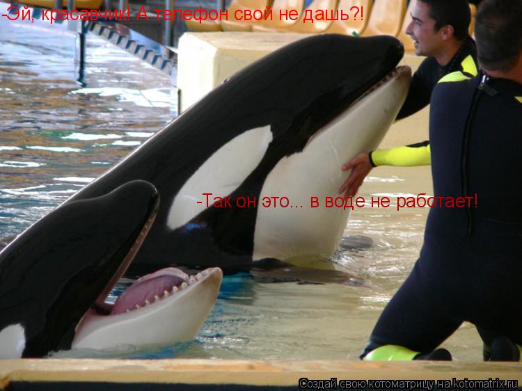 -Эй, красавчик! А телефон свой не дашь?! -Так он это... в воде не работает!... Котоматрица: -Эй, красавчик! А телефон свой не дашь?! -Так он это... в воде не работает!