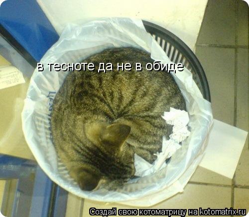 в тесноте да не в обиде в тесноте да не в обиде... Котоматрица: в тесноте да не в обиде в тесноте да не в обиде