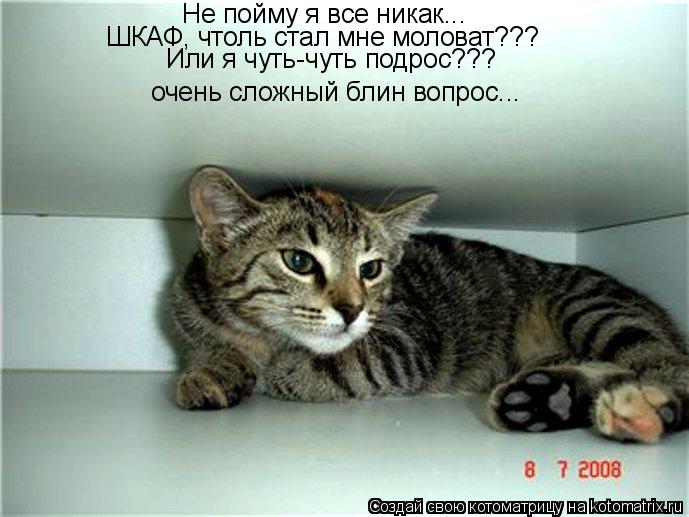 Не пойму я все никак... ШКАФ, чтоль стал мне моловат??? Или я чуть-чуть подрос??? очень сложный блин... Котоматрица: Не пойму я все никак... ШКАФ, чтоль стал мне моловат??? Или я чуть-чуть подрос??? очень сложный блин вопрос...