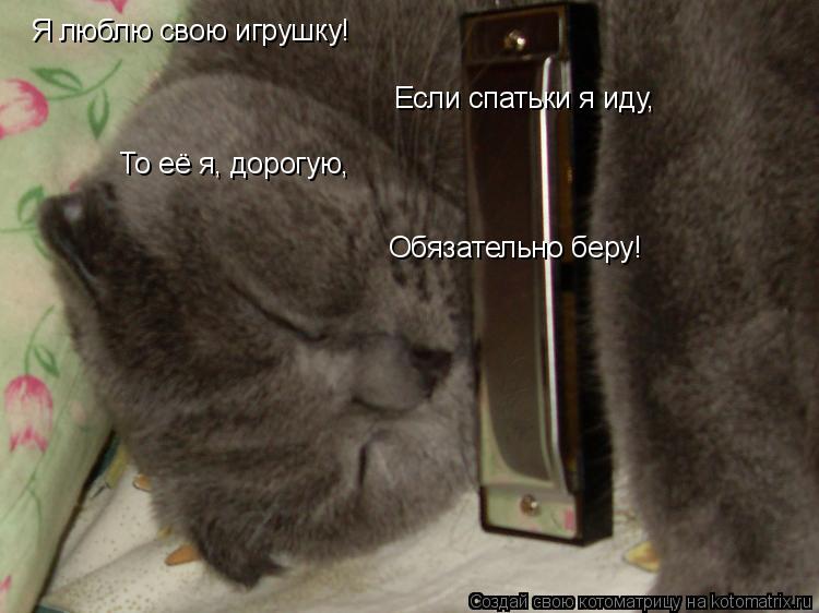 Я люблю свою игрушку! Обязательно беру! Если спатьки я иду, То её я, дорогую,... Котоматрица: Я люблю свою игрушку! Обязательно беру! Если спатьки я иду, То её я, дорогую,