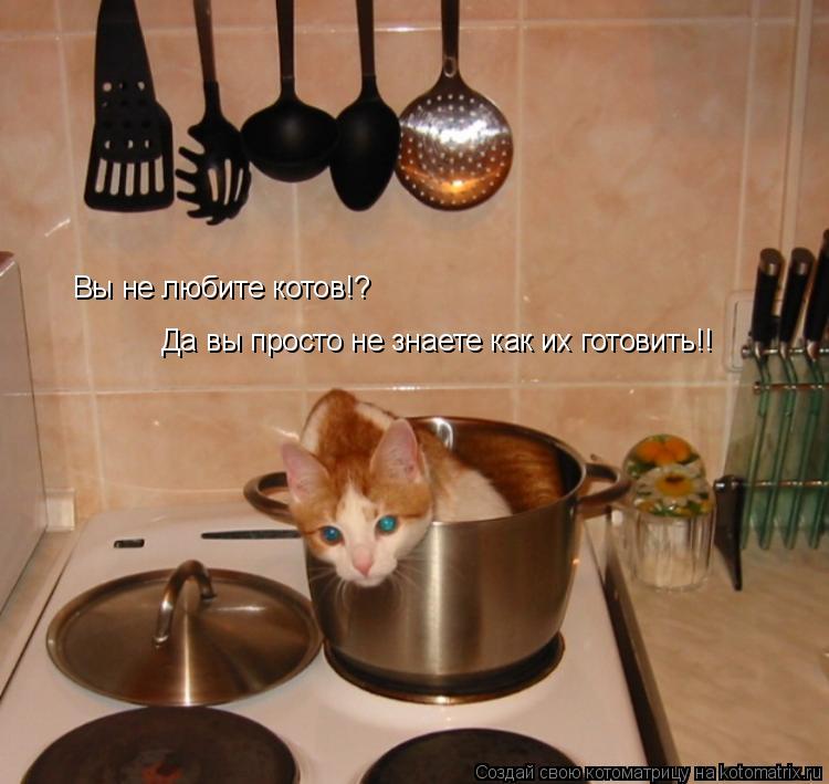Вы не любите котов!? Да вы просто не знаете как их готовить!!... Котоматрица: Вы не любите котов!? Да вы просто не знаете как их готовить!!