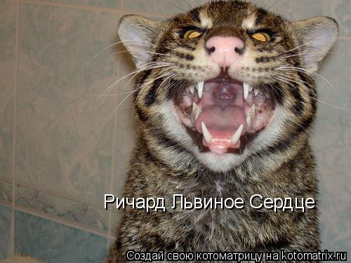 Ричард Львиное Сердце... Котоматрица: Ричард Львиное Сердце