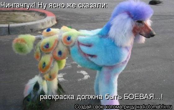 Чингачгук! Ну ясно же сказали: раскраска должна быть БОЕВАЯ...!... Котоматрица: Чингачгук! Ну ясно же сказали: раскраска должна быть БОЕВАЯ...!