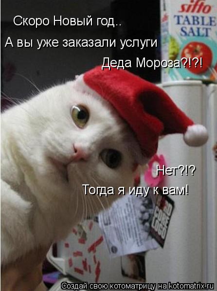 Скоро Новый год.. А вы уже заказали услуги Деда Мороза?!?! Нет?!? Тогда я иду к вам!... Котоматрица: Скоро Новый год.. А вы уже заказали услуги Деда Мороза?!?! Нет?!? Тогда я иду к вам!
