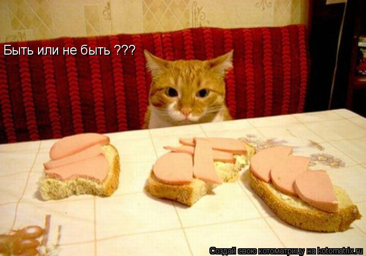 Быть или не быть ???... Котоматрица: Быть или не быть ???