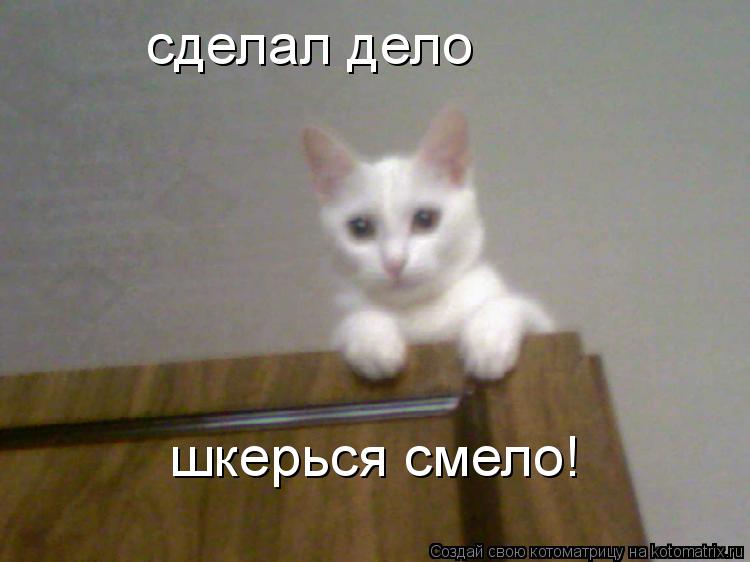 сделал дело шкерься смело!... Котоматрица: сделал дело шкерься смело!