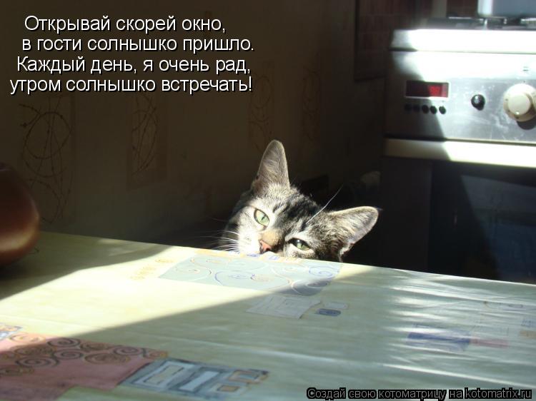 Котоматрица: Открывай скорей окно, в гости солнышко пришло. Каждый день, я очень рад, утром солнышко встречать!