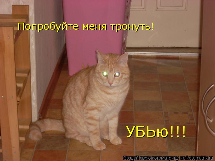 Котоматрица: УБЬю!!! Попробуйте меня тронуть!
