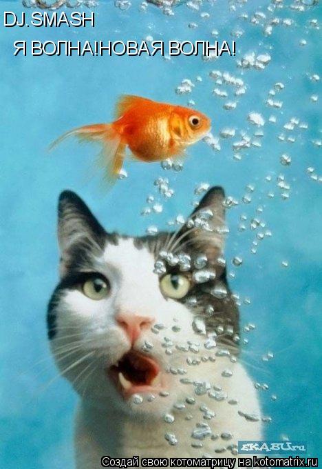 Котоматрица: DJ.SMASH Я ВОЛНА!НОВАЯ ВОЛНА!