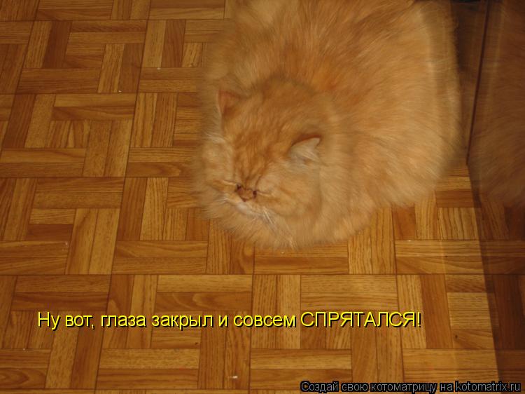 Ну вот, глаза закрыл и совсем СПРЯТАЛСЯ!... Котоматрица: Ну вот, глаза закрыл и совсем СПРЯТАЛСЯ!
