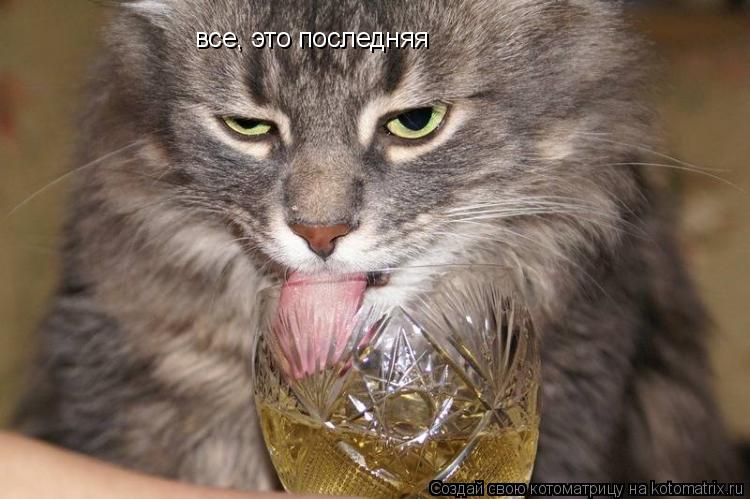 все, это последняя все, это последняя... Котоматрица: все, это последняя все, это последняя