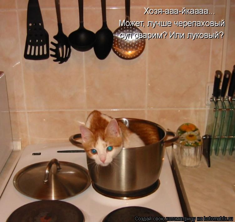 Хозя-ааа-йкаааа... Может, лучше черепаховый суп сварим? Или луковый?... Котоматрица: Хозя-ааа-йкаааа... Может, лучше черепаховый суп сварим? Или луковый?