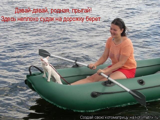 Давай-давай, родная, прыгай! Здесь неплохо судак на дорожку берет... Котоматрица: Давай-давай, родная, прыгай! Здесь неплохо судак на дорожку берет