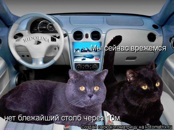 Мы сейчас врежемся нет блежайший столб через 10м.... Котоматрица: Мы сейчас врежемся нет блежайший столб через 10м.