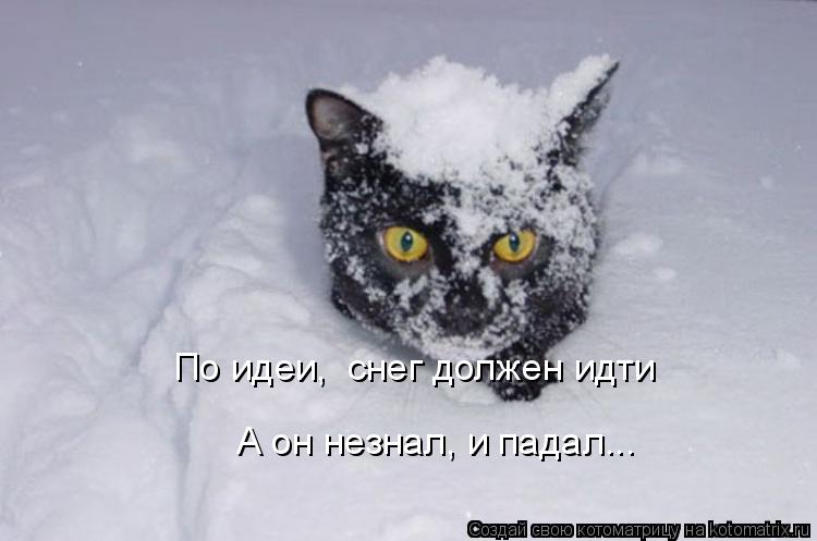 По идеи, снег должен идти А он незнал, и падал...... Котоматрица: По идеи, снег должен идти А он незнал, и падал...