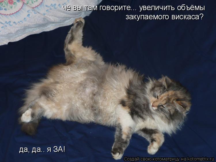 чё вы там говорите... увеличить объёмы закупаемого вискаса? да, да.. я ЗА!... Котоматрица: чё вы там говорите... увеличить объёмы закупаемого вискаса? да, да.. я ЗА!