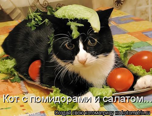 Кот с помидорами и салатом...... Котоматрица: Кот с помидорами и салатом...