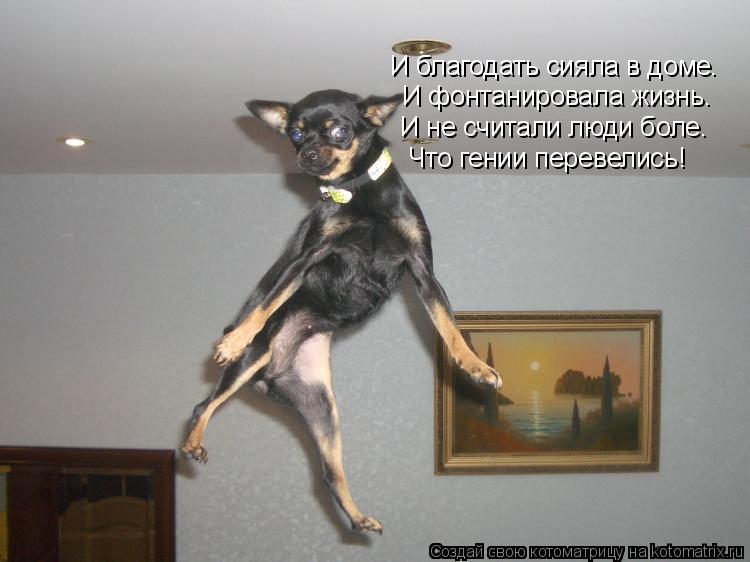 И благодать сияла в доме. И фонтанировала жизнь. И не считали люди боле. Что гении перевелись!... Котоматрица: И благодать сияла в доме. И фонтанировала жизнь. И не считали люди боле. Что гении перевелись!