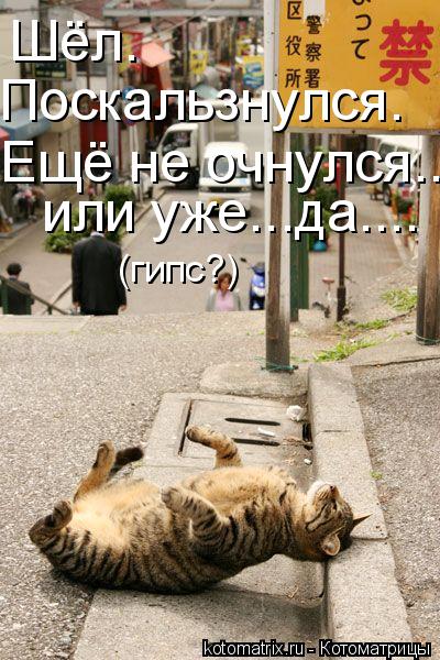 Шёл. Поскальзнулся. Ещё не очнулся... или уже...да.... (гипс?)... Котоматрица: Шёл. Поскальзнулся. Ещё не очнулся... или уже...да.... (гипс?)