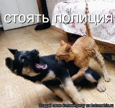 стоять полиция... Котоматрица: стоять полиция