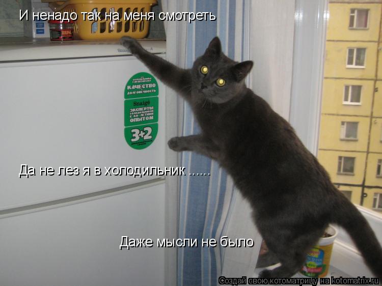 Котоматрица: И ненадо так на меня смотреть Да не лез я в холодильник ...... Даже мысли не было