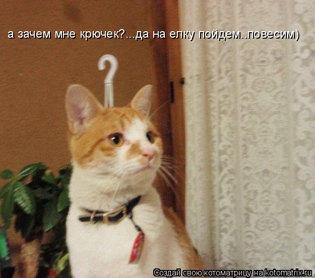 Котоматрица: а зачем мне крючек?...да на елку пойдем..повесим)