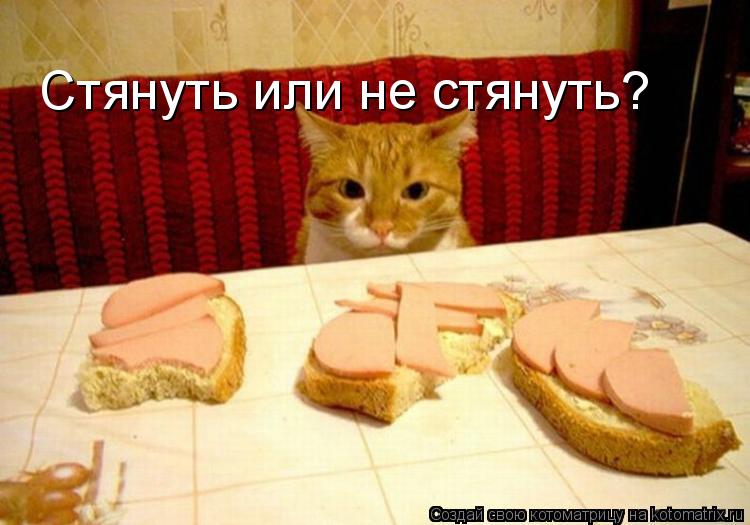 Стянуть или не стянуть?... Котоматрица: Стянуть или не стянуть?