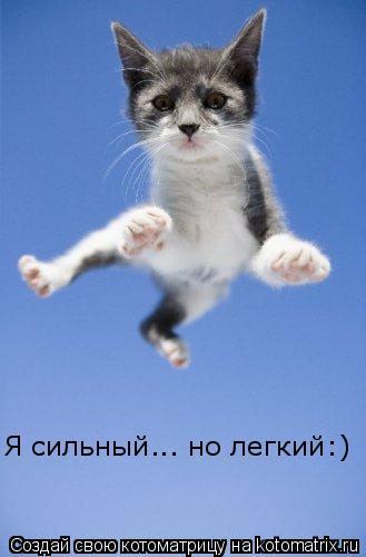 Я сильный... но легкий:)... Котоматрица: Я сильный... но легкий:)