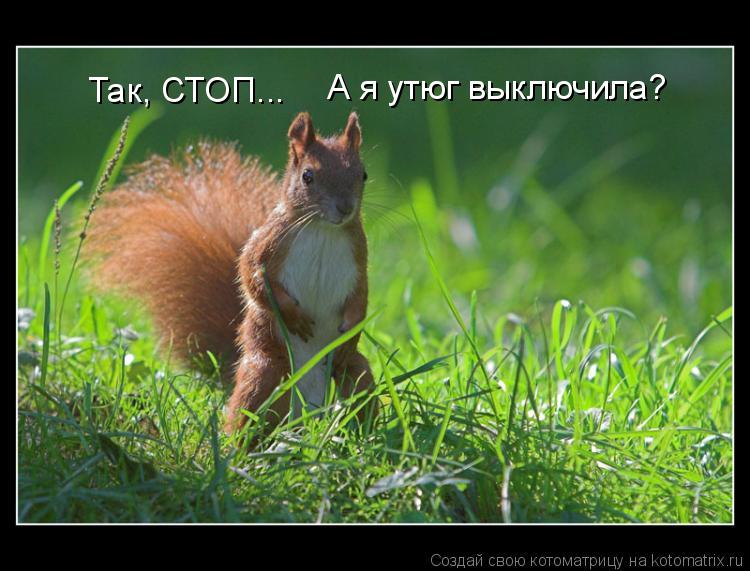 А я утюг выключила? Так, СТОП...... Котоматрица: А я утюг выключила? Так, СТОП...
