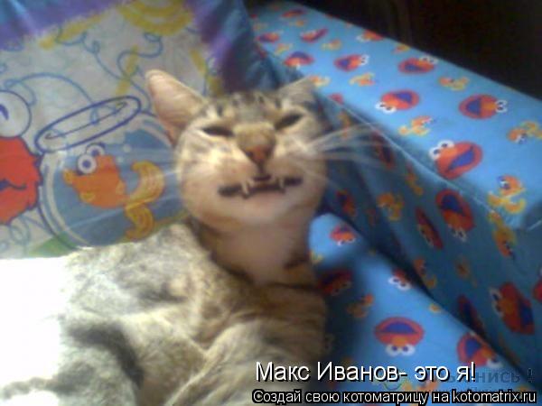 Макс Иванов- это я!... Котоматрица: Макс Иванов- это я!