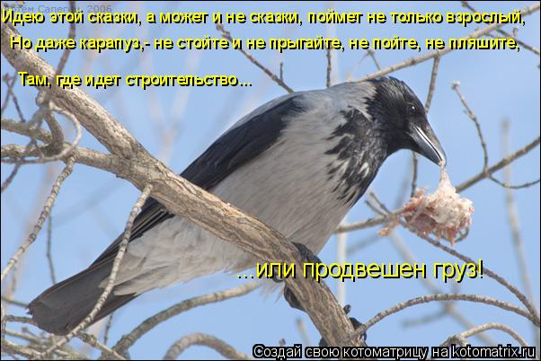 Идею этой сказки, а может и не сказки, поймет не только взрослый, Но даже карапуз,- не стойте и не пр... Котоматрица: Идею этой сказки, а может и не сказки, поймет не только взрослый, Но даже карапуз,- не стойте и не прыгайте, не пойте, не пляшите, Там, где идет