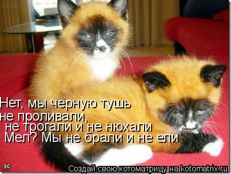 Нет, мы черную тушь не проливали, не трогали и не нюхали Мел? Мы не брали и не ели... Котоматрица: Нет, мы черную тушь не проливали, не трогали и не нюхали Мел? Мы не брали и не ели