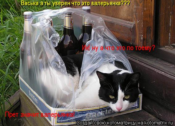 Васька а ты уверен что это валерьянка??? Ик! ну а что это по тоему? Прет значит валерьянка!... Котоматрица: Васька а ты уверен что это валерьянка??? Ик! ну а что это по тоему? Прет значит валерьянка!