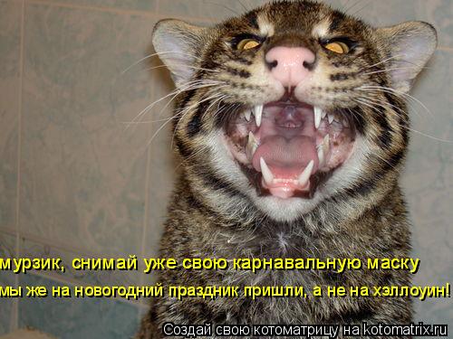 мурзик, снимай уже свою карнавальную маску мурзик, снимай уже свою карнавальную маску мы же на нового... Котоматрица: мурзик, снимай уже свою карнавальную маску мурзик, снимай уже свою карнавальную маску мы же на новогодний праздник пришли, а не на хэллоуин!