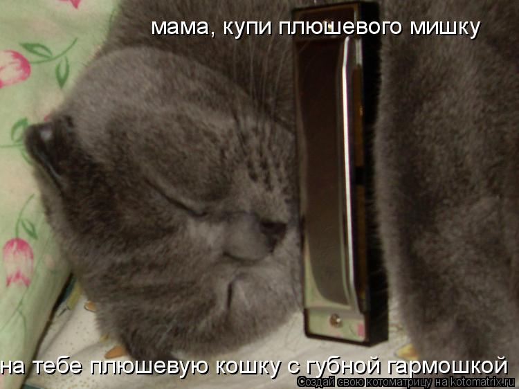 мама, купи плюшевого мишку на тебе плюшевую кошку с губной гармошкой... Котоматрица: мама, купи плюшевого мишку на тебе плюшевую кошку с губной гармошкой