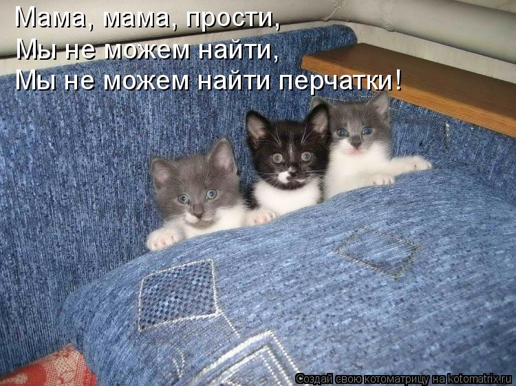 Мама, мама, прости, Мы не можем найти перчатки! Мы не можем найти,... Котоматрица: Мама, мама, прости, Мы не можем найти перчатки! Мы не можем найти,