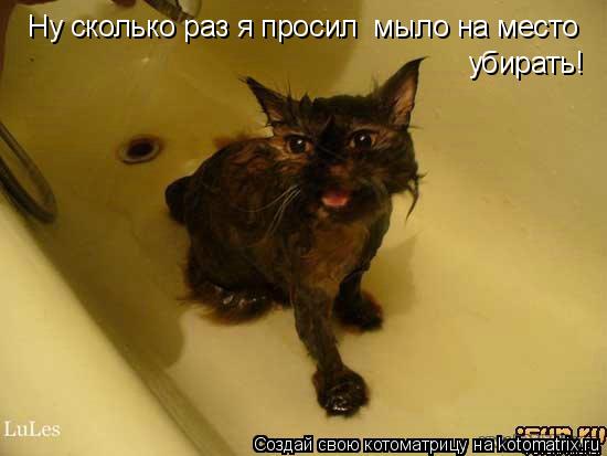 убирать! Ну сколько раз я просил мыло на место... Котоматрица: убирать! Ну сколько раз я просил мыло на место