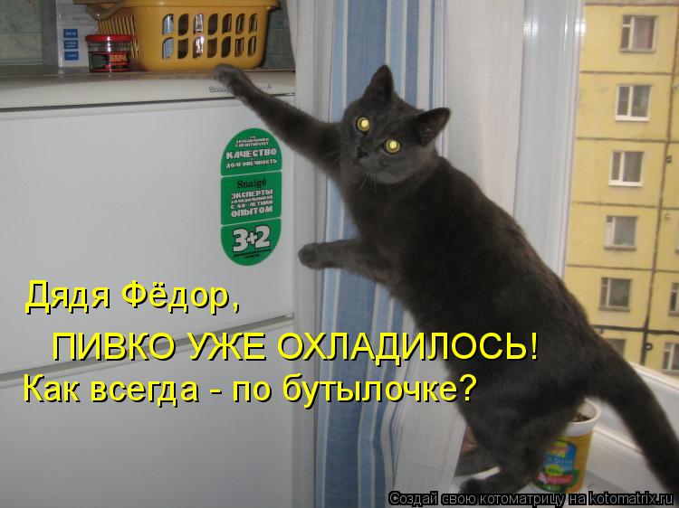 Дядя Фёдор, Как всегда - по бутылочке? ПИВКО УЖЕ ОХЛАДИЛОСЬ!... Котоматрица: Дядя Фёдор, Как всегда - по бутылочке? ПИВКО УЖЕ ОХЛАДИЛОСЬ!
