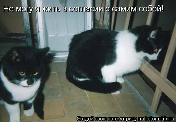 Котоматрица: Не могу я жить в согласии с самим собой!