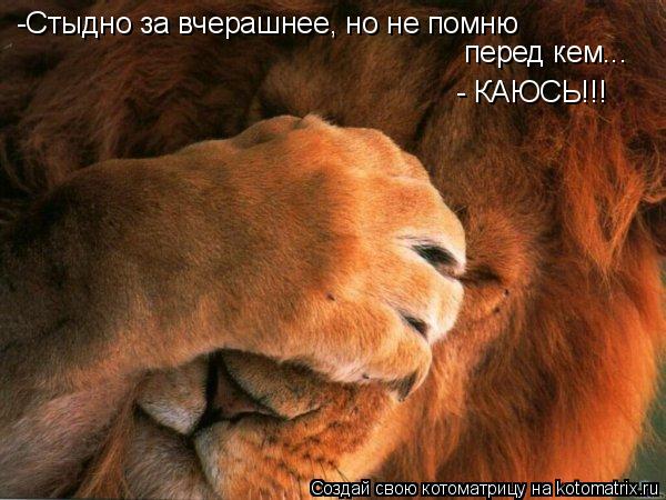 -Стыдно за вчерашнее, но не помню перед кем... - КАЮСЬ!!!... Котоматрица: -Стыдно за вчерашнее, но не помню перед кем... - КАЮСЬ!!!