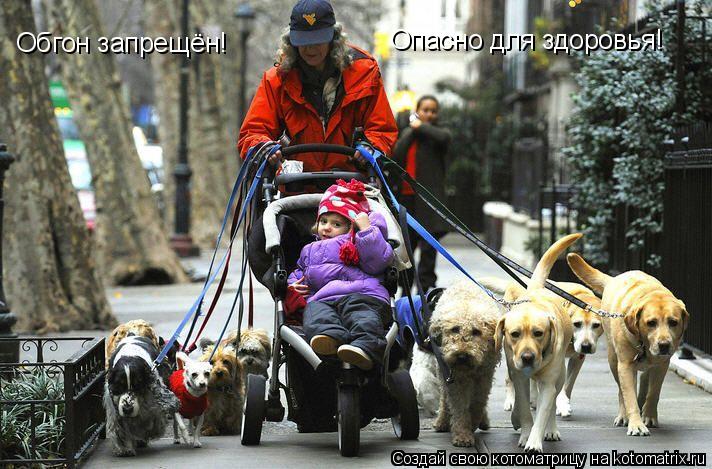Обгон запрещён! Опасно для здоровья!... Котоматрица: Обгон запрещён! Опасно для здоровья!
