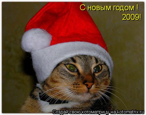 Котоматрица: С новым годом ! 2009!