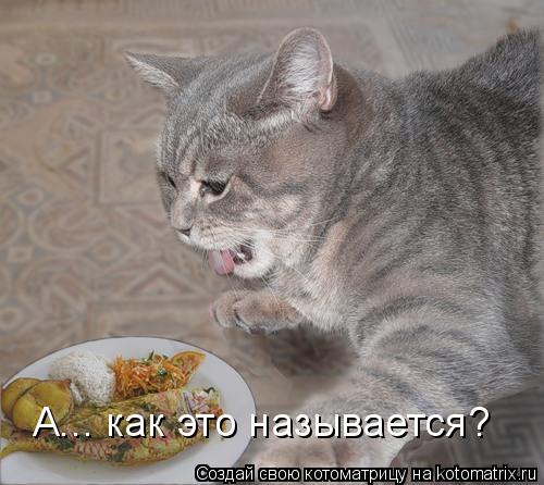 А... как это называется?... Котоматрица: А... как это называется?